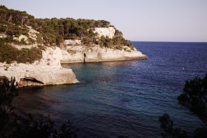 Mitjana