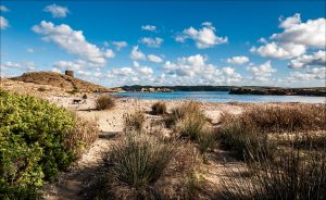 Cala Tamarells nord