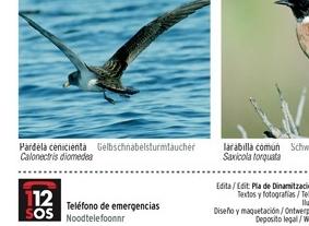 Aves de Menorca: o insulă mică, o biodiversitate uriașă