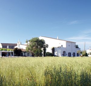 Agroturism Llucmaçanes Gran