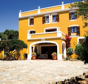 Farm animals grazing peacefully near Hotel Rural Sant Ignasi, emphasizing its authentic rural charm.