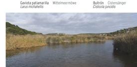 Albufera de Es Grau -- traseu ornitologic