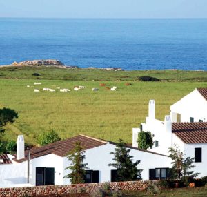 Pastoral scene with happy farm animals grazing at Agroturism Atalis, inviting visitors to rural life.
