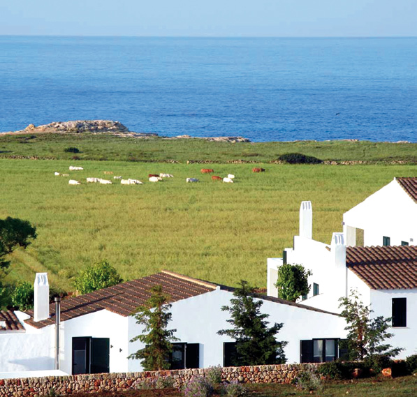 Pastoral scene with happy farm animals grazing at Agroturism Atalis, inviting visitors to rural life.